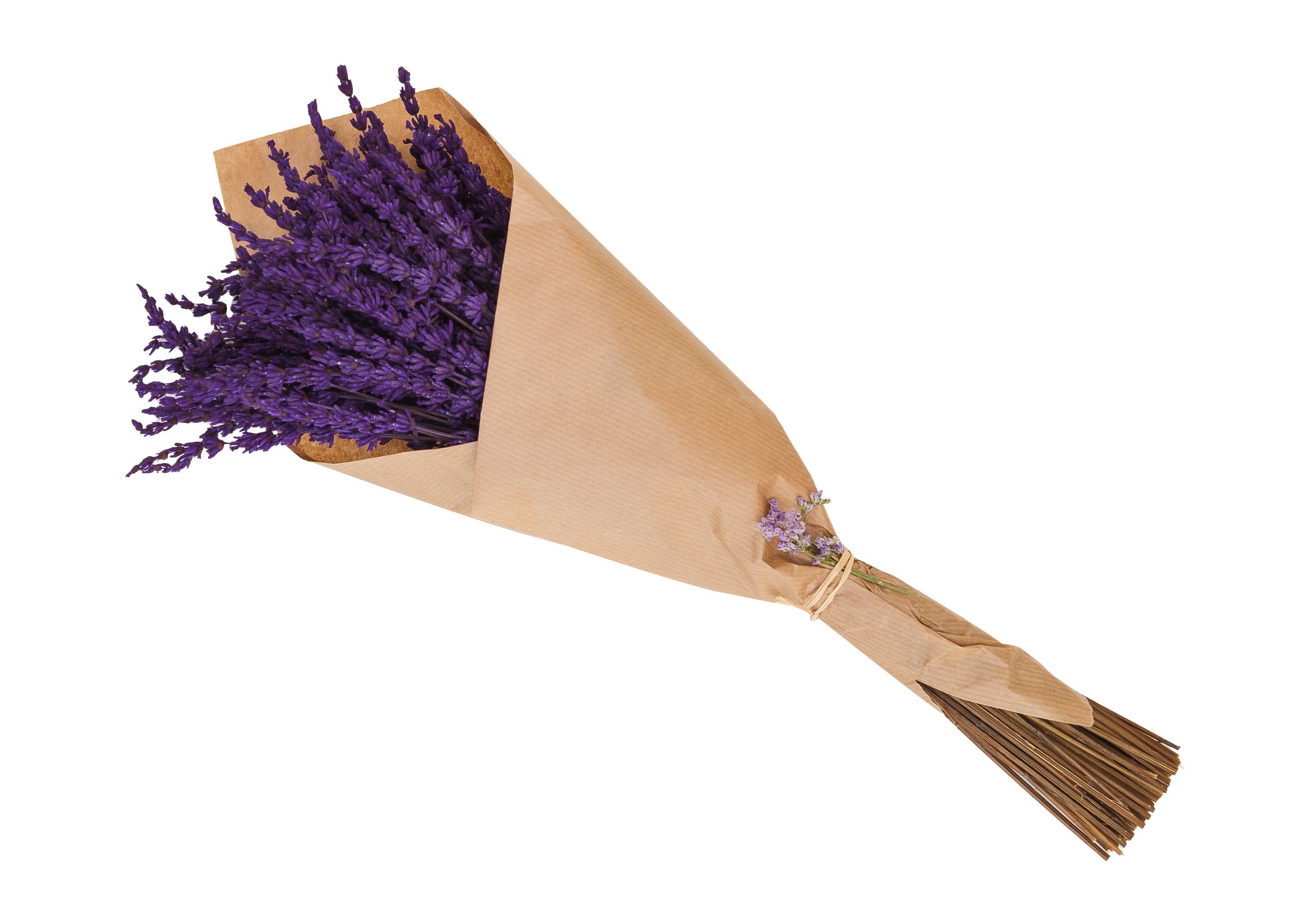 Ramo lavanda preservada